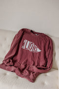 Lions pennant flag